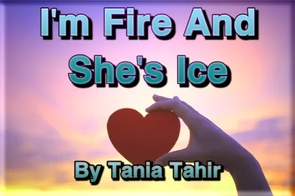 I'm Fire And She Is Ice Novel