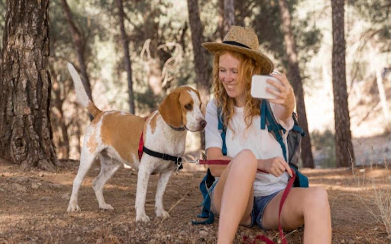 The Traveling Pet Parent Tips for Exploring the World Without Neglecting Your Pet