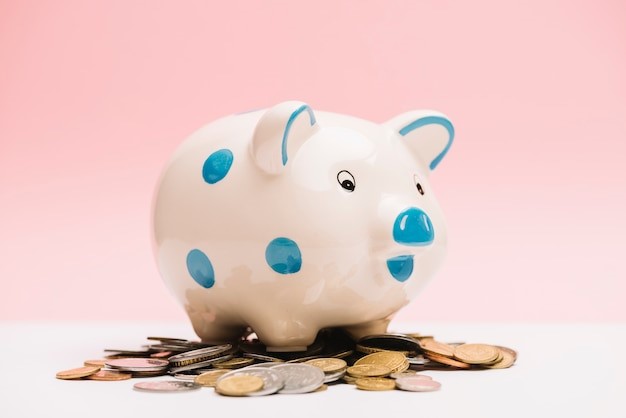 Thinking of Opening a Savings Account? Here’s Everything You Need to Know
