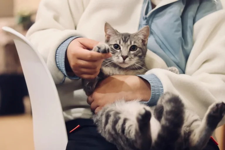 How to Successfully Sell Your Veterinary Practice