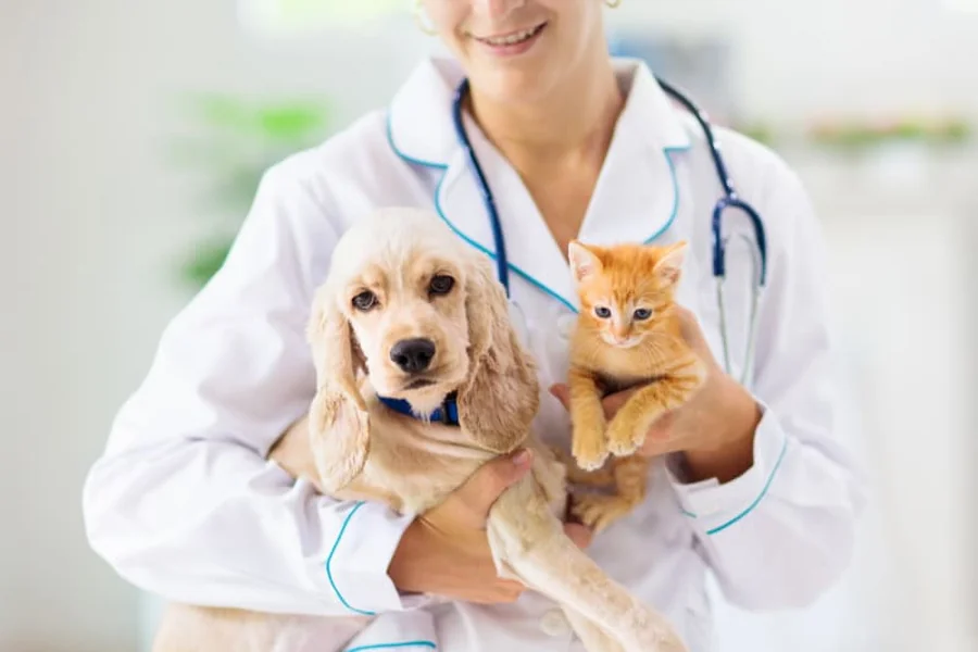 Veterinary Visit