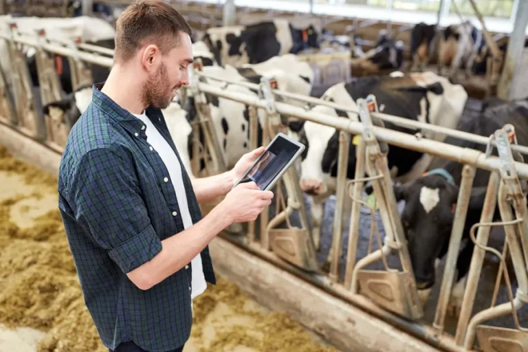 Getting Started with Smarter Cattle Management