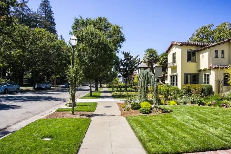 Urban Design Strategies and Landscape Planning in West Palm Beach Neighborhoods