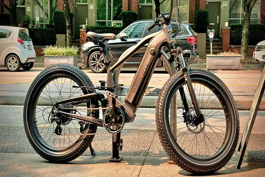 Electric Bikes