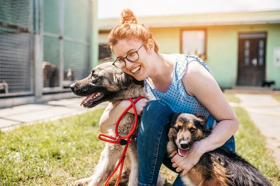 Animal Hospitals