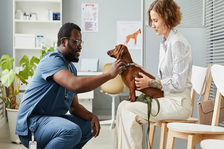 How General Veterinarians Build Long-Term Relationships With Families