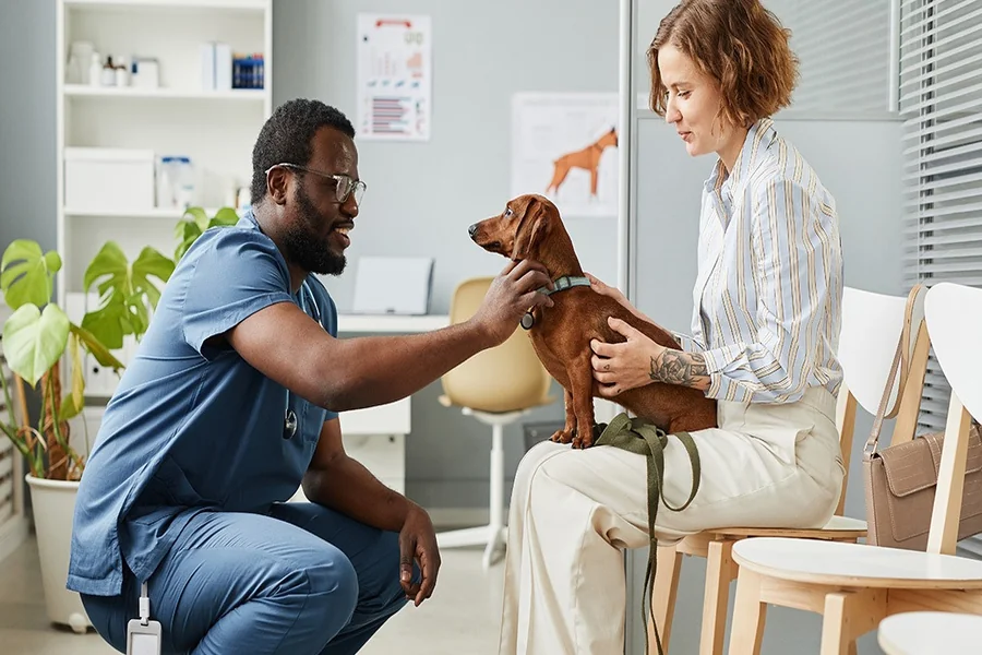 General Veterinarians