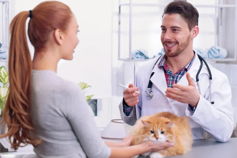 The Importance Of Client Education At Animal Hospitals
