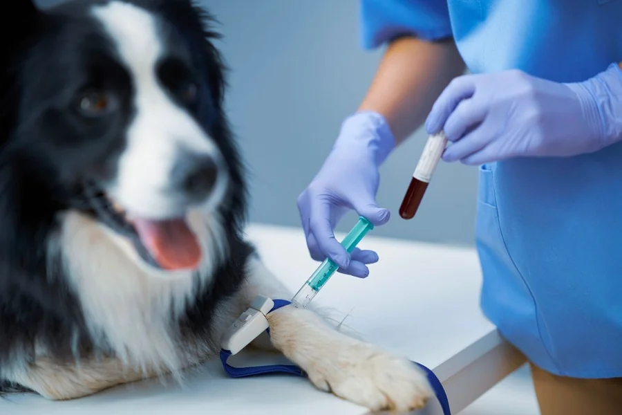 Diagnostics