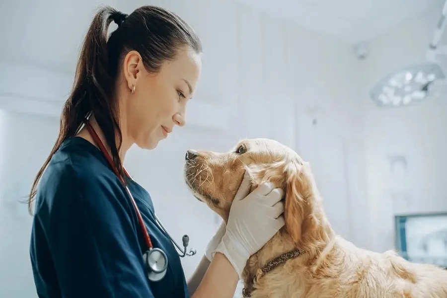 Veterinary Clinics