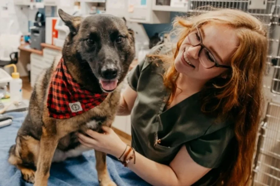 Pet Health