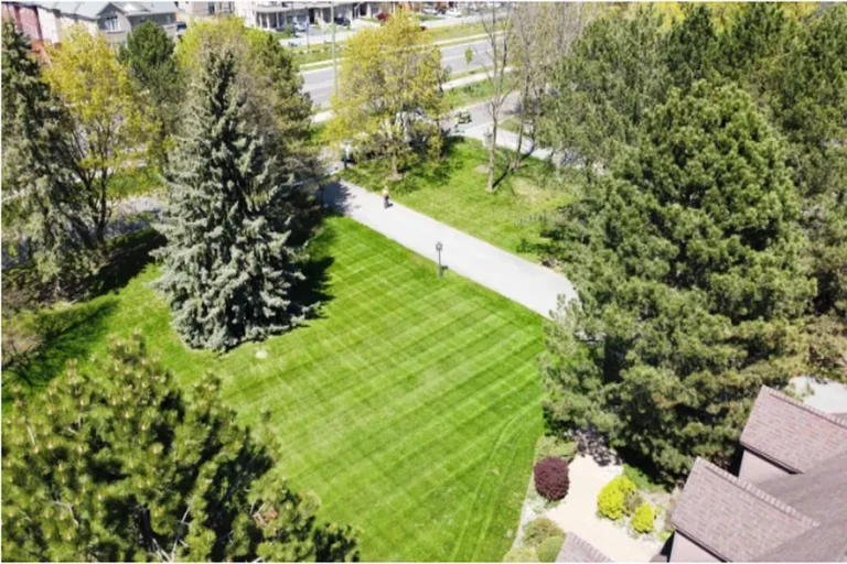 Grass Cutting Services That Make Your Yard Look Like a Movie Set