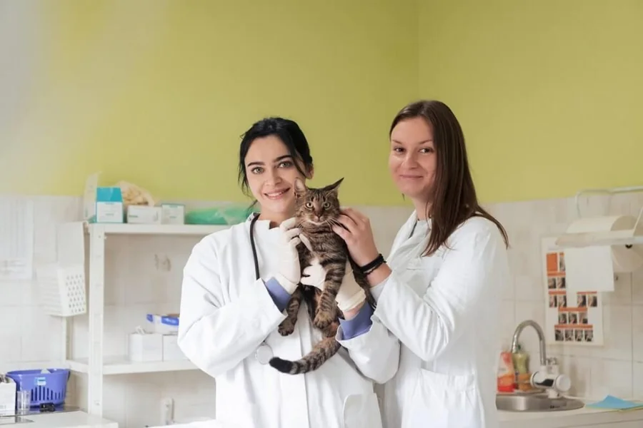 Why Animal Hospitals Are Expanding Community Outreach Efforts