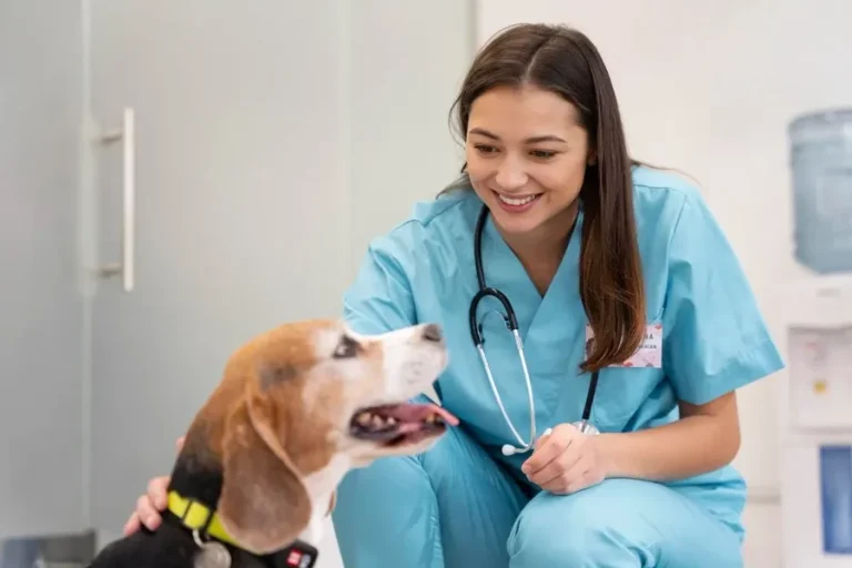 How Animal Hospitals Help Manage Parasite Prevention Programs