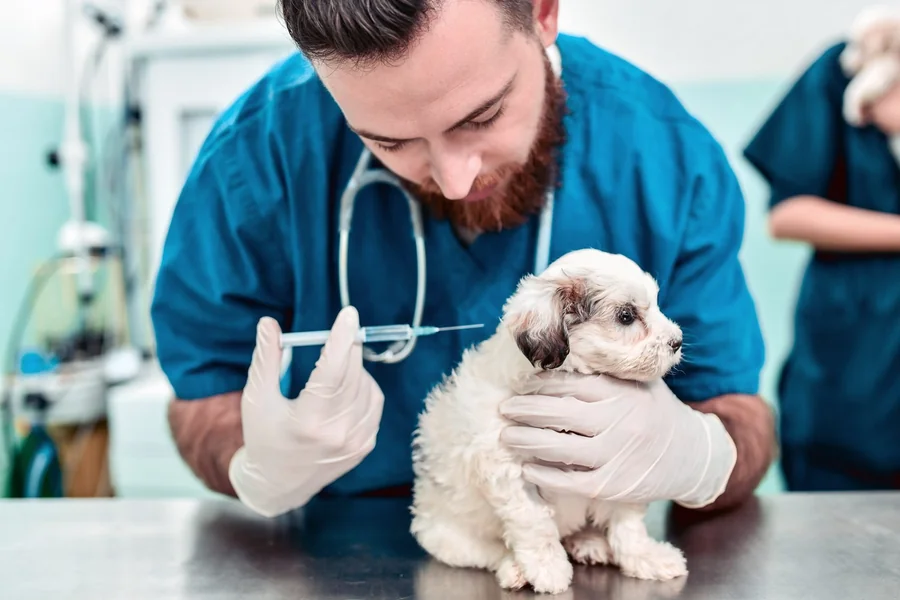 Veterinary Clinics
